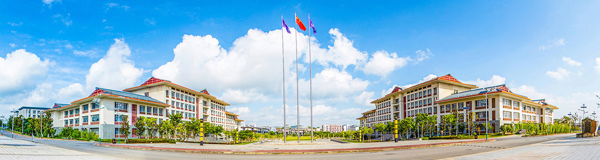 大图1