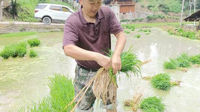 乡村振兴·民大行动｜驻村第一书记李绍华：深学笃行书写忠孝并举的家国情