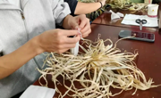 非遗初体验：亲手做“长毛”