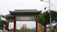 白旗韭黄搭建群众致富路 传媒学院传播系师生调研普定县百岩镇韭黄产业发展