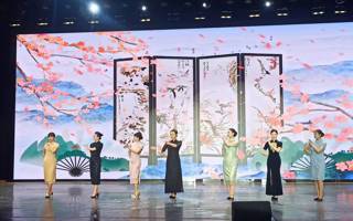 艺术表演（3）
