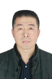 王力