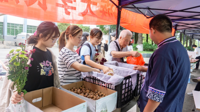 乡村振兴 金秋行动！贵州民族大学举行长顺县农特产品展销、农文旅游推广活动