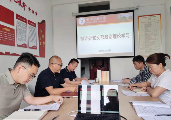 校党委委员、纪委书记、省监委派驻监察专员吴嶷晖同志深入审计处党支部开展调研指导并参加支部政治理论学习