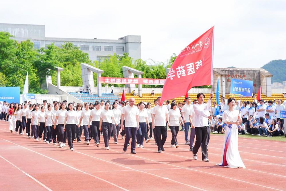 民族医药学院