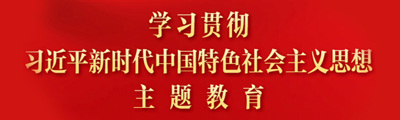 学习贯彻习近平新时代中国特色社会主义思想主题教育